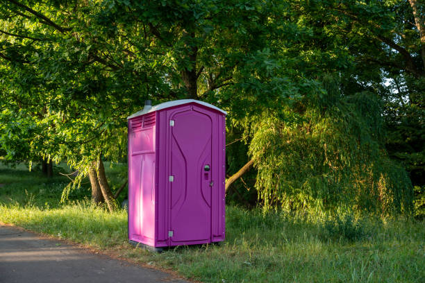 Best Local porta potty services  in Novi, MI